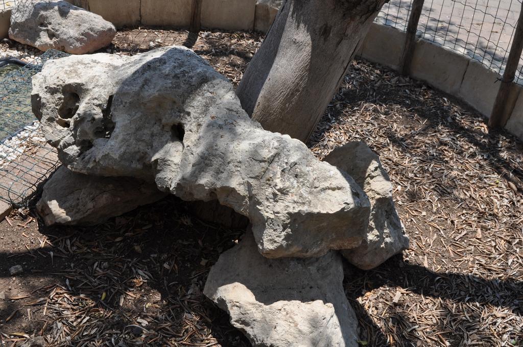Bed&Breakfast Giardini Di Marzo Lecce Exterior foto