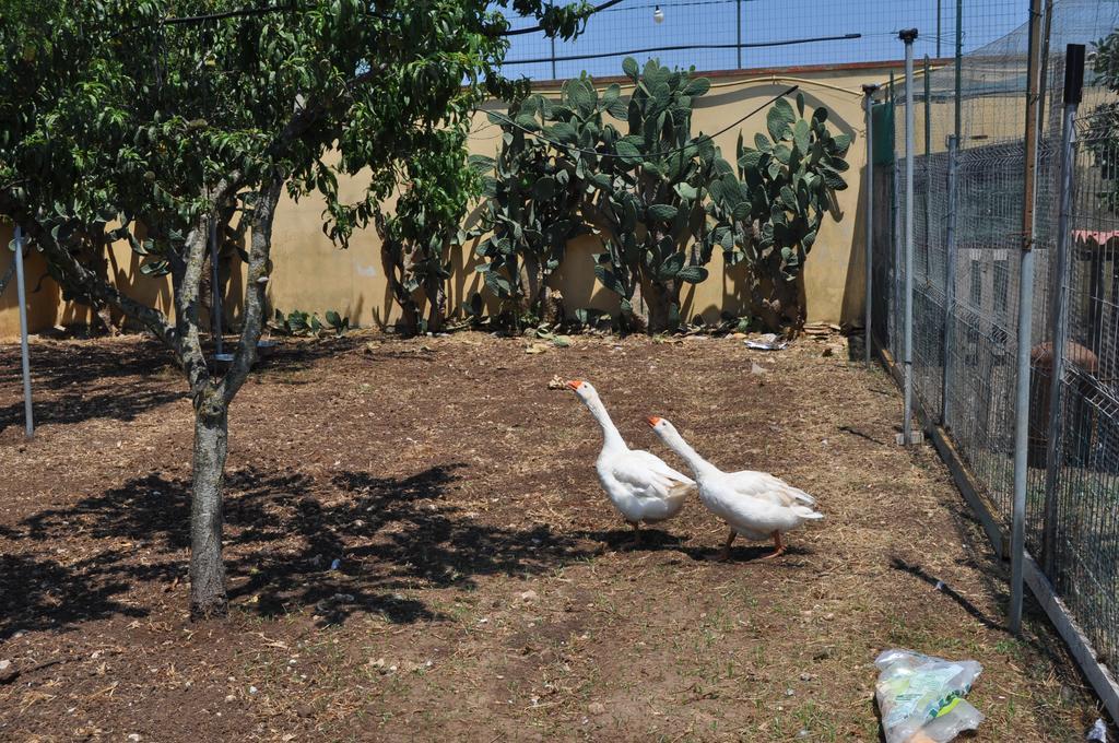 Bed&Breakfast Giardini Di Marzo Lecce Exterior foto